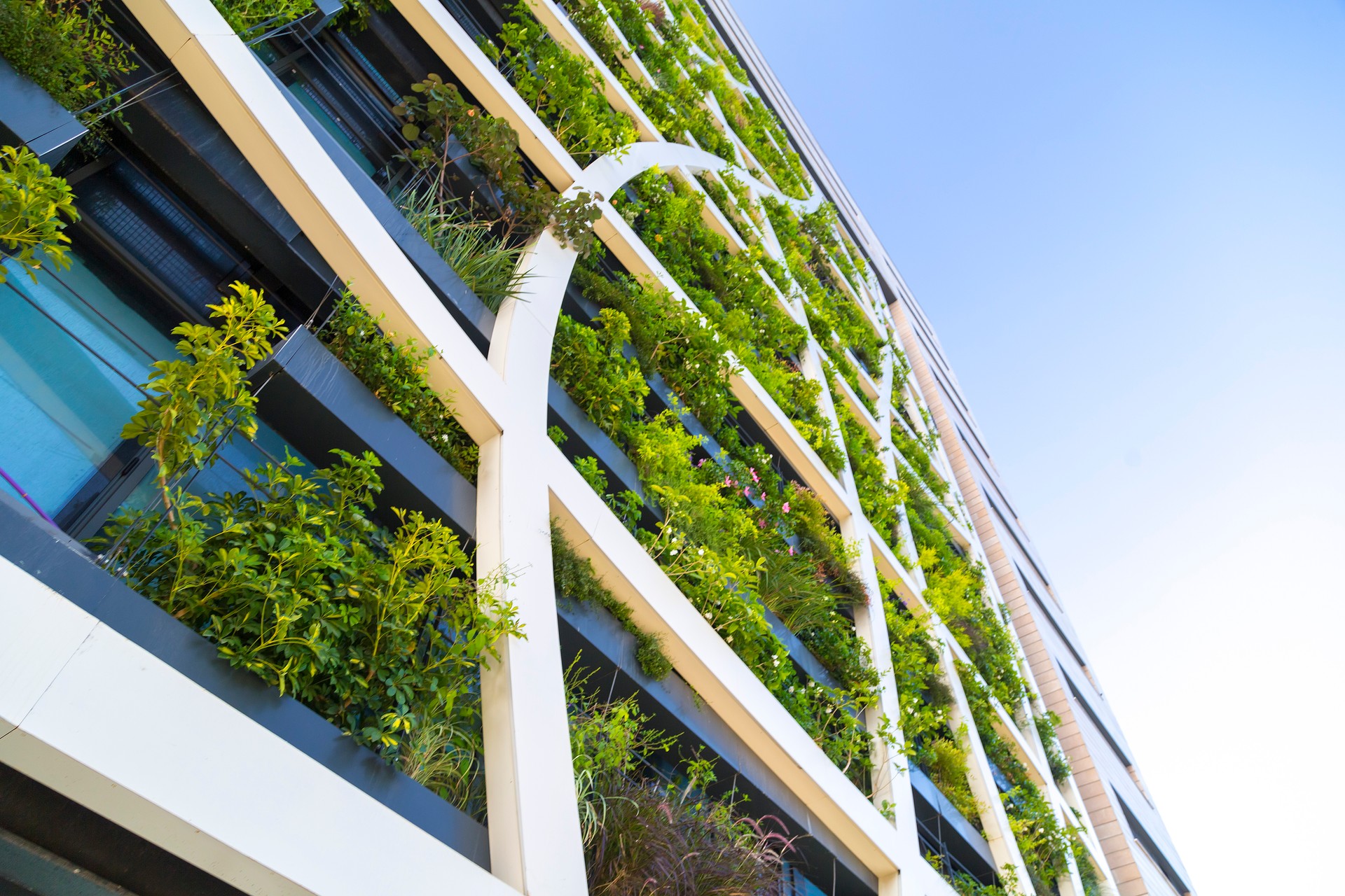 Detail from a living wall